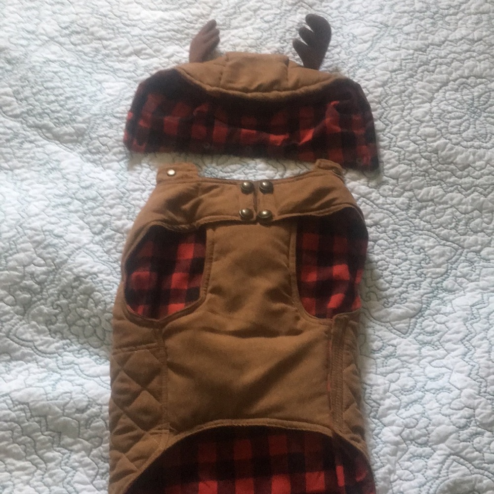 Cute reversible dog jacket with antler hood